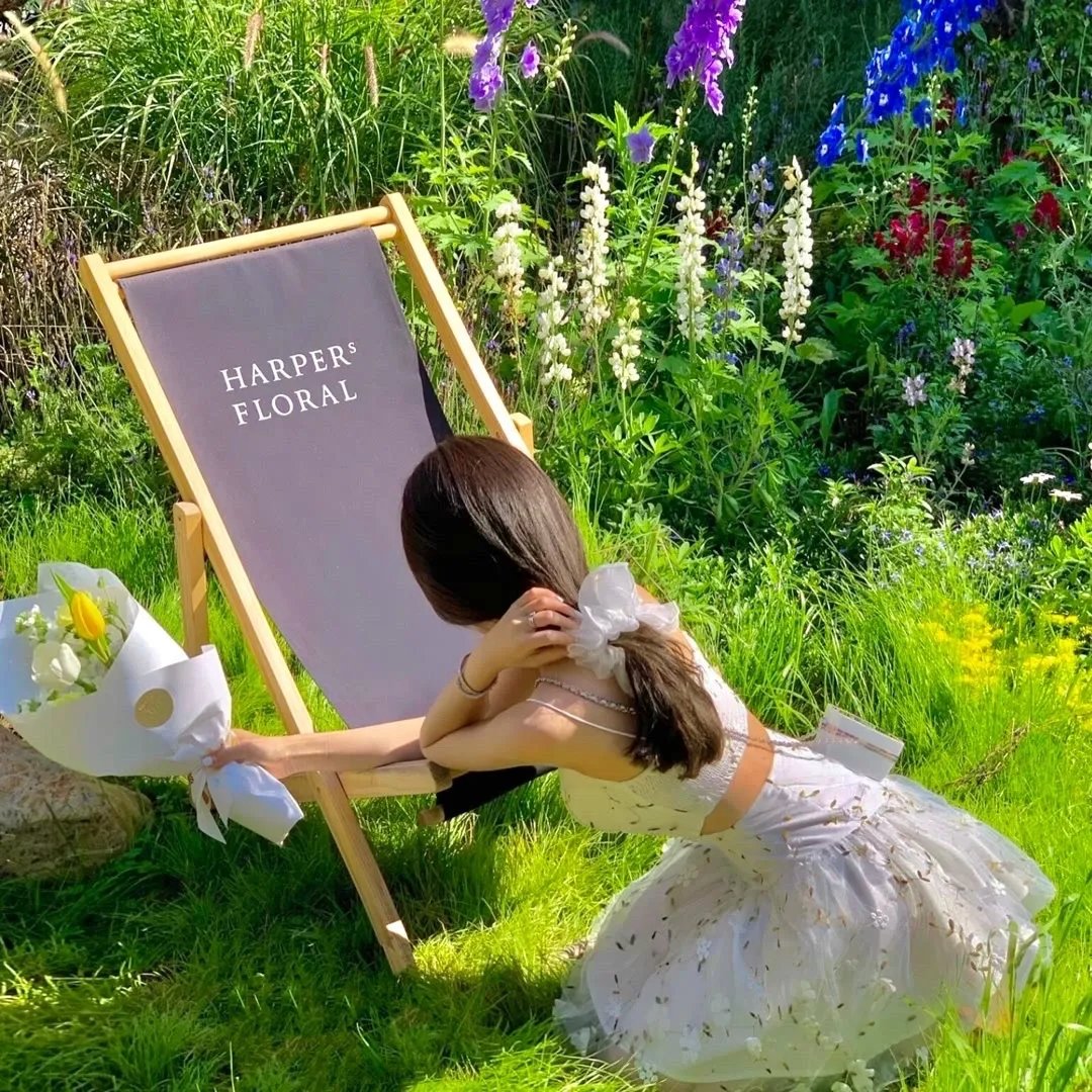 乘龙怪婿第四季