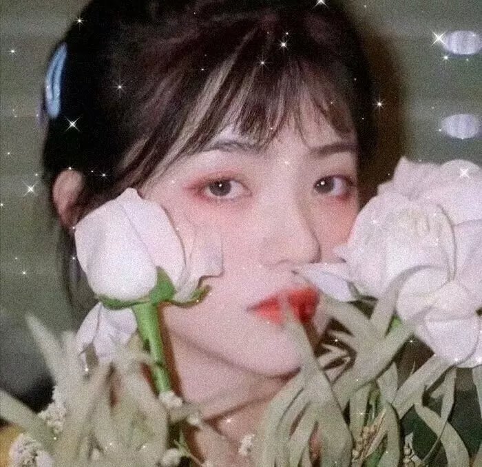 恶魔校花2