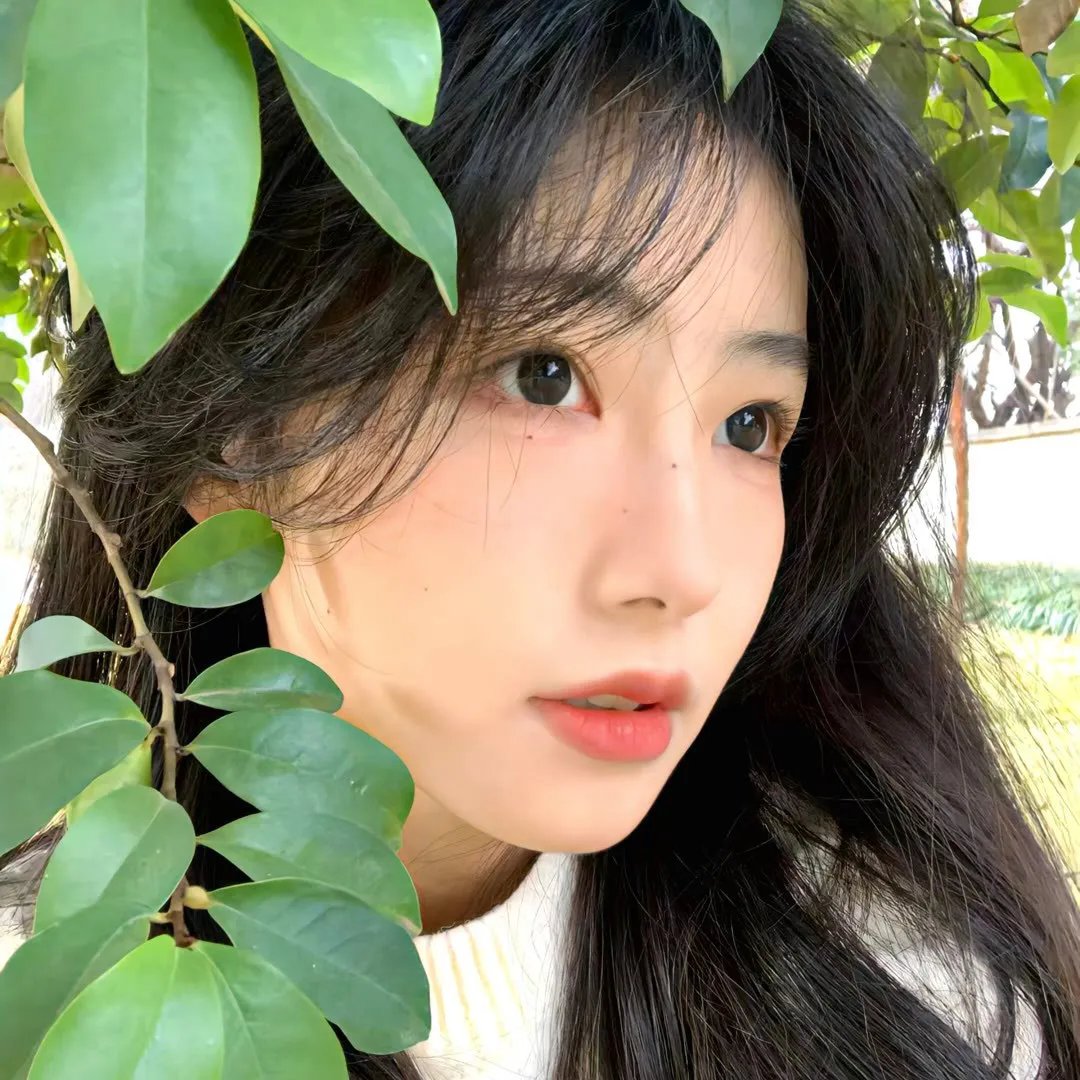 熊猫与你,滚滚而来!